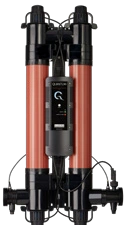 Quantum UV-C